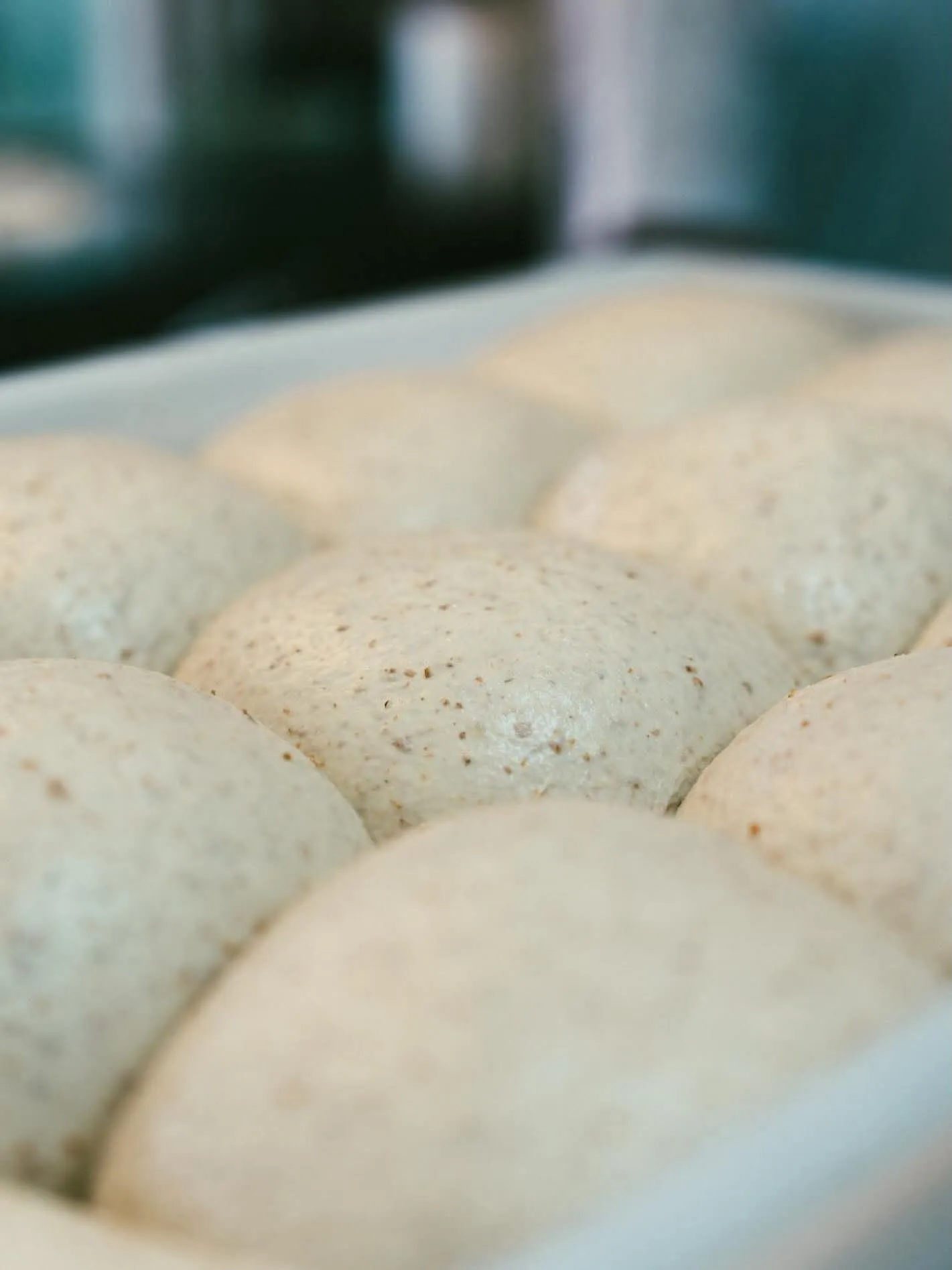 Pizza napoletana
